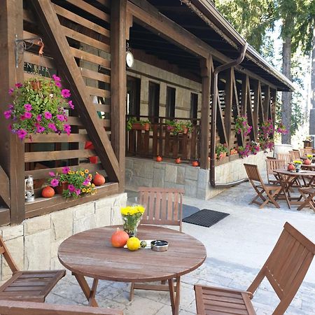 Green Life Family Apartments Пампорово Екстер'єр фото