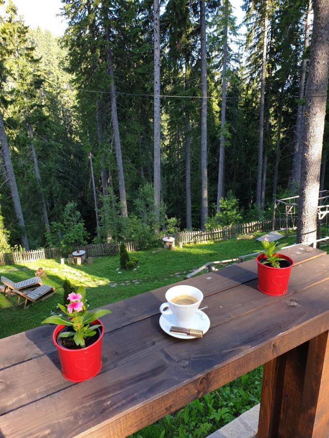 Green Life Family Apartments Пампорово Екстер'єр фото